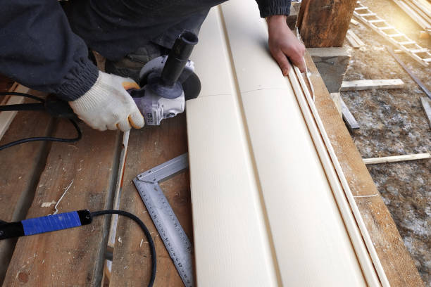 Best Custom Siding Design  in Mount Pleasant, IA