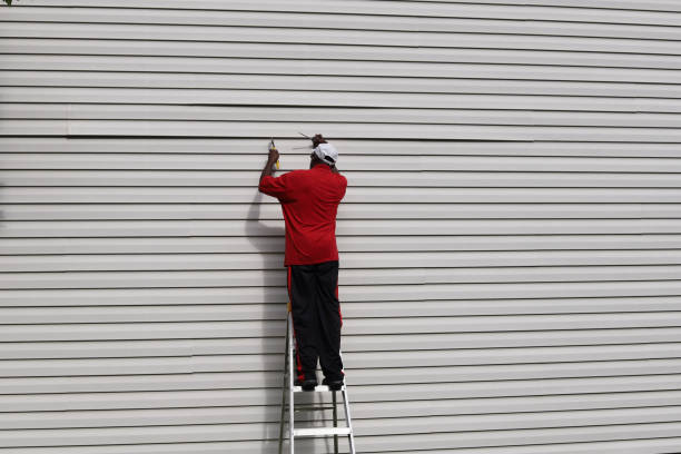 Affordable Siding Repair and Maintenance Services in Mount Pleasant, IA